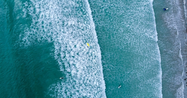 © Unsplash wjd-wellen-junge-wirtschaft