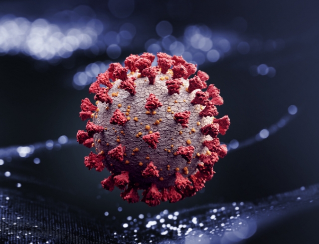 Corona-Virus unter dem Mikroskop © GettyImages/Radoslav Zilinsky wjd-corona-virus-mikroskop