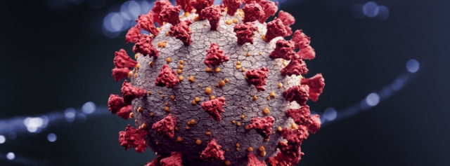 Corona-Virus unter dem Mikroskop © GettyImages/Radoslav Zilinsky wjd-corona-virus-mikroskop
