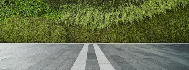 © Getty Images/Xinzheng wjd-junge-wirtschaft-nachhaltigkeit-strasse